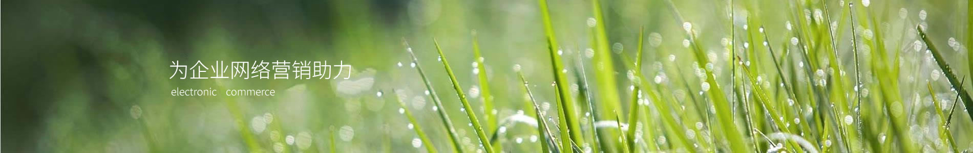 ̰Ȫҵ԰